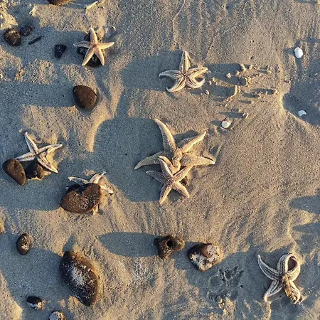 Lägenhet Zandkasteel *