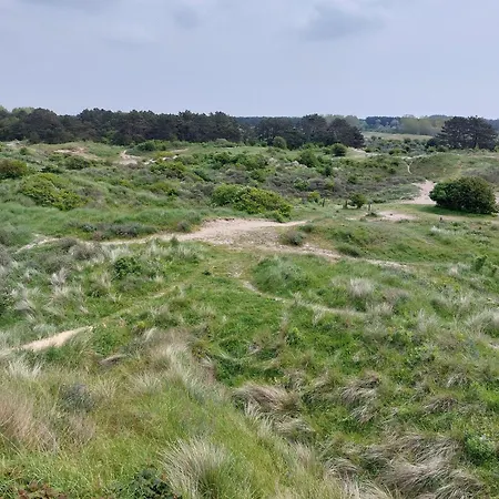 Zandkasteel * Zandvoort