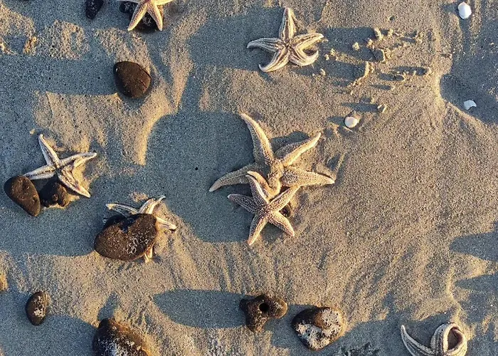 Lägenhet Zandkasteel *