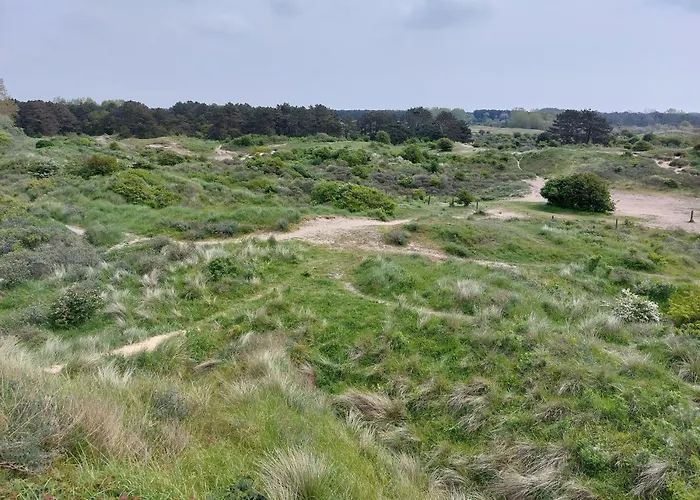 Zandkasteel * 잔드보르트