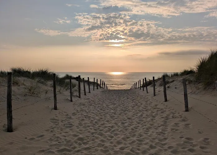 Zandkasteel 아파트 잔드보르트